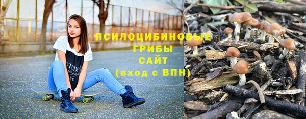 ECSTASY Алексин
