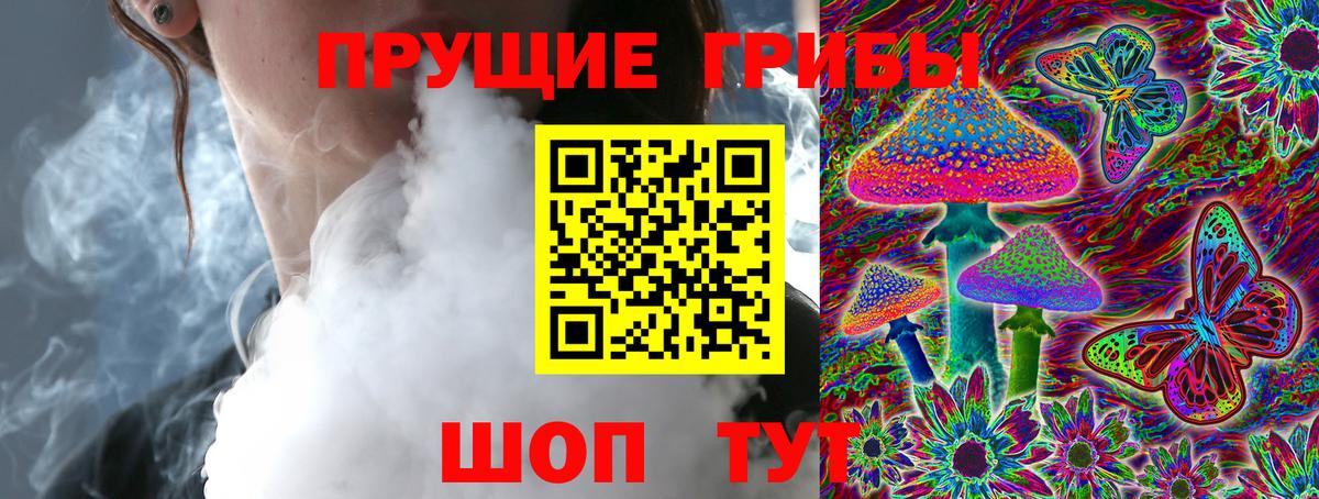 Псилоцибиновые грибы мицелий Кольчугино