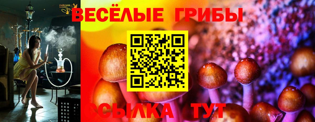Галлюциногенные грибы Cubensis  Вход с VPN  Кольчугино 