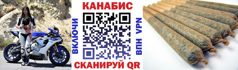сколько стоит  Кольчугино  Конопля сатива 